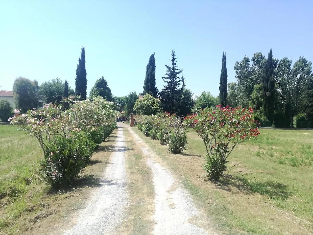 B&B Il Parco San Giuliano Terme Bed & Breakfast